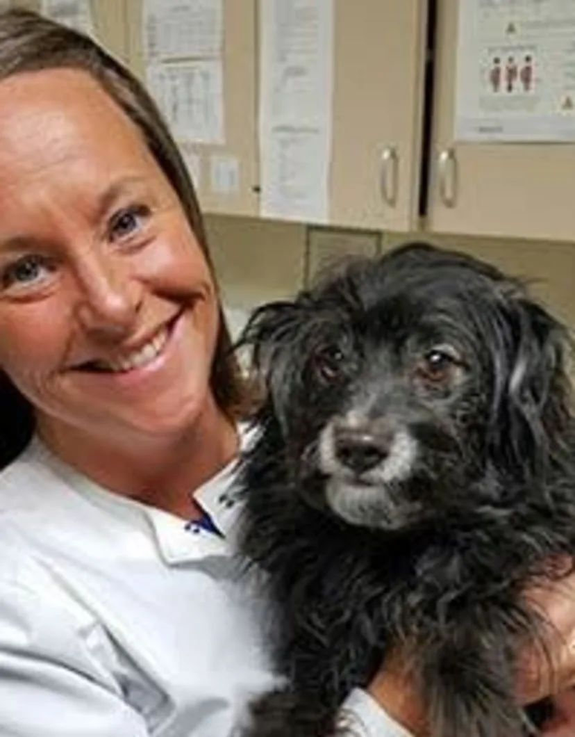 Kim - Veterinary Assistant holding a black scruffy dog at Animal Care Clinic West & Metro Cat Hospital